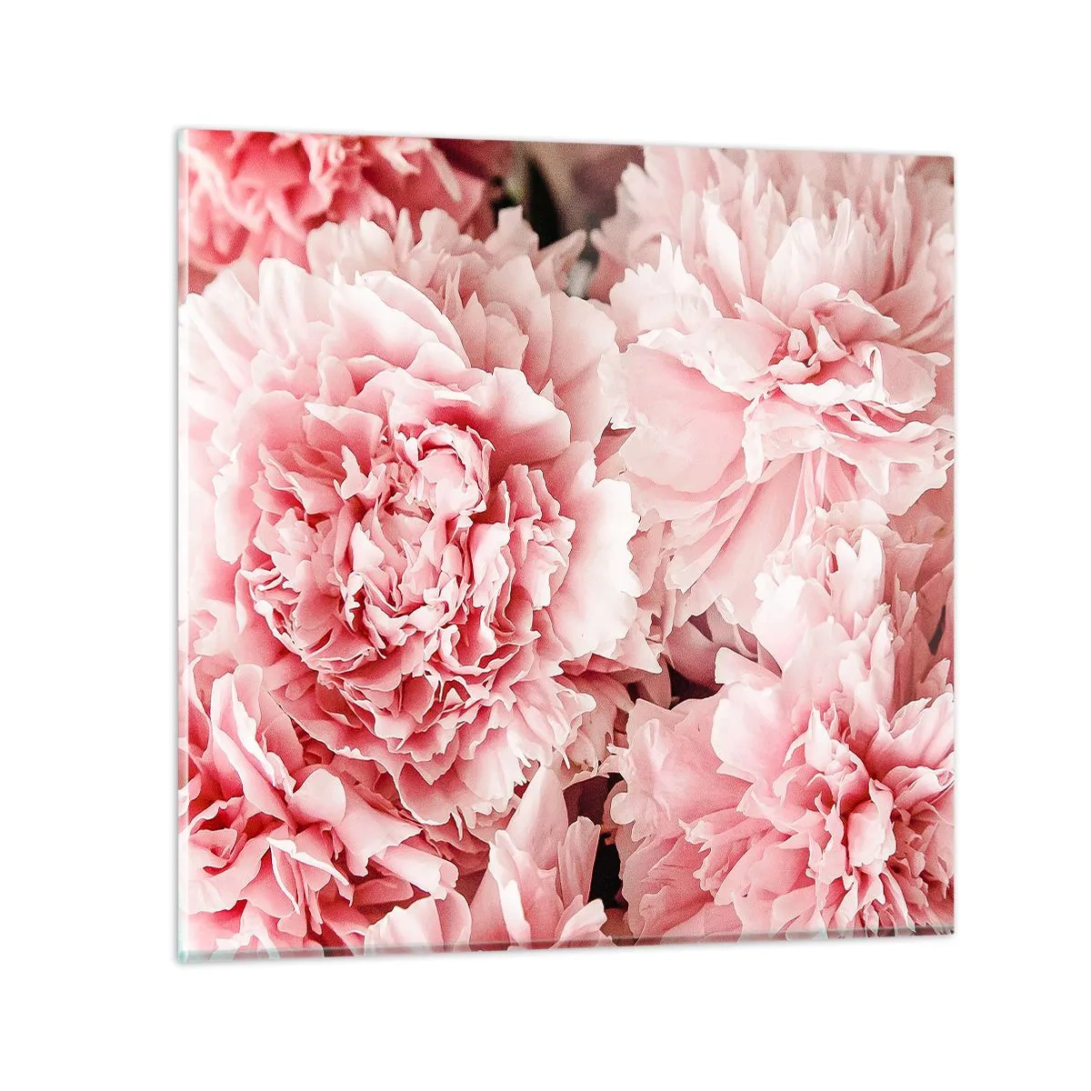 Impression sur verre - Image sur verre - Rêve rose - 40x40 cm