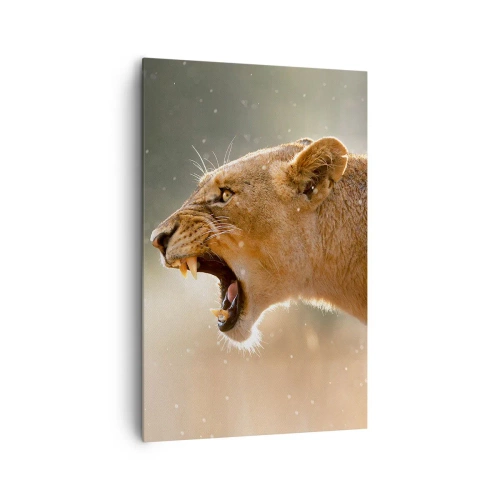 Impression sur toile - Image sur toile - Portrait d'une lionne rugissante à la lumière naturelle - 80x120cm - Essayez  de ne pas écouter - Décoration murale moderne pour le salon et la chambre ARTTOR