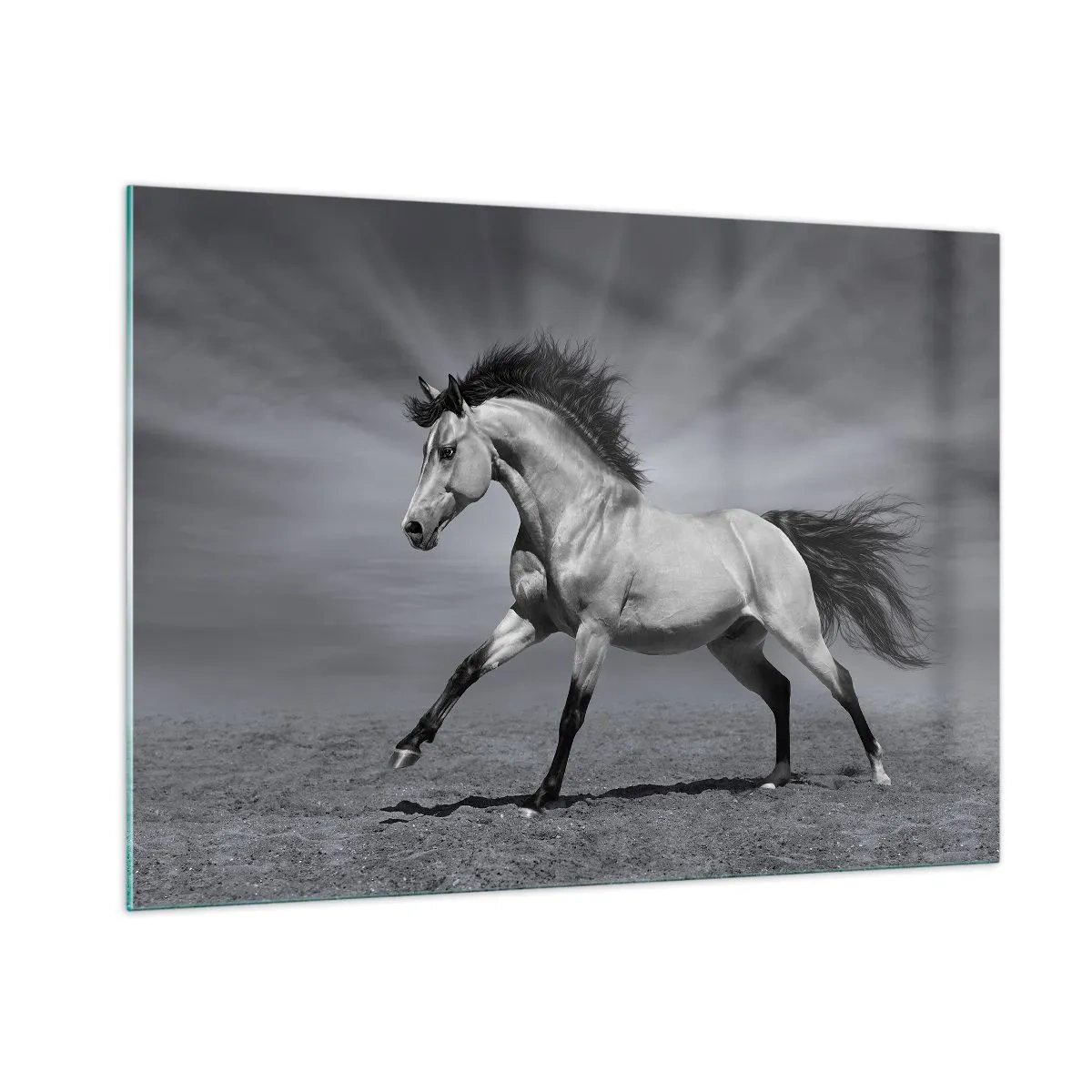 Impression sur verre - Image sur verre - Une photo en noir et blanc d'un cheval galopant dans un champ ouvert. - 100x70cm - Né pour séduire - Décoration murale moderne pour le salon et la chambre ARTTOR