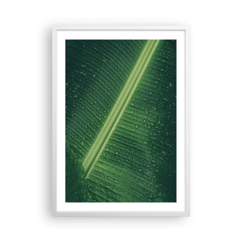 Affiche dans un cadre blanc - Poster - Structure de vert - 50x70 cm