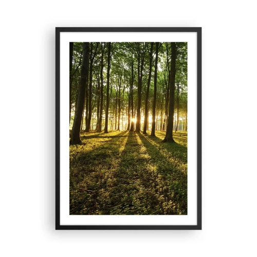 Affiche dans un cadre noir - Poster - Une forêt illuminée par les rayons du soleil couchant - 50x70cm - Toutes les photographies de printemps - Décoration murale moderne pour le salon et la chambre ARTTOR