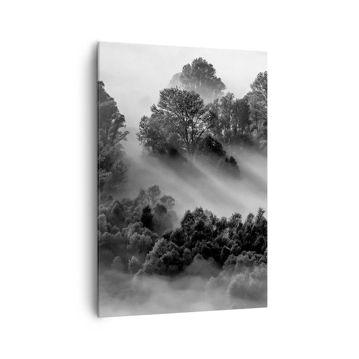 Impression sur toile - Image sur toile - Paysage forestier noir et blanc dans le brouillard du matin - 70x100cm - Sortir de son sommeil - Décoration murale moderne pour le salon et la chambre ARTTOR