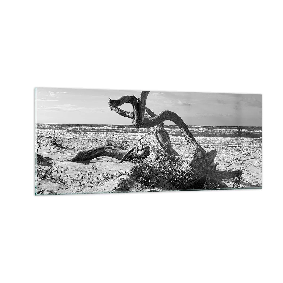 Impression sur verre - Image sur verre - Sculpture marine - 100x40 cm