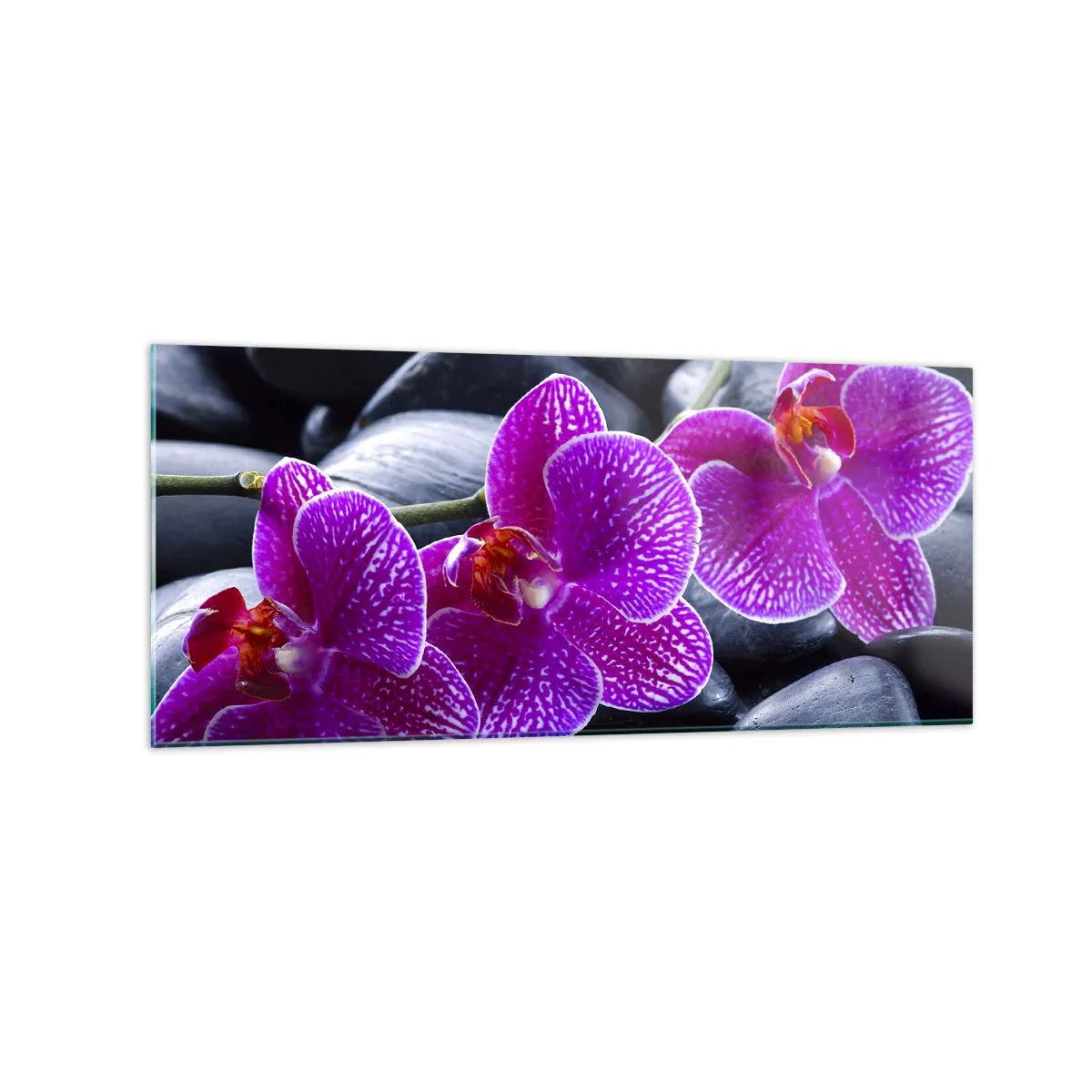 Impression sur verre - Image sur verre - Orchidées violettes sur fond de pierres noires - 120x50cm - Les pierres brillaient de joie - Décoration murale moderne pour le salon et la chambre ARTTOR
