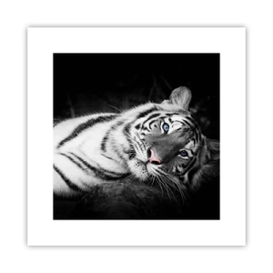 Affiche - Poster - Sauvagerie et paix - 30x30 cm