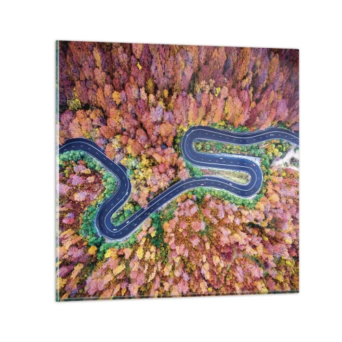 Impression sur verre - Image sur verre - Route sinueuse à travers la forêt - 50x50 cm