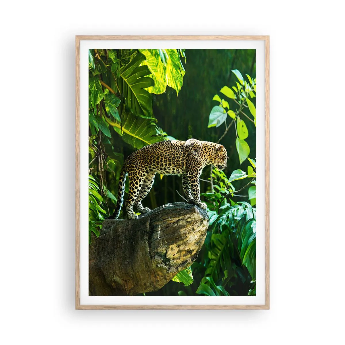 Affiche dans un chêne clair - Poster - À la chasse? - 70x100 cm