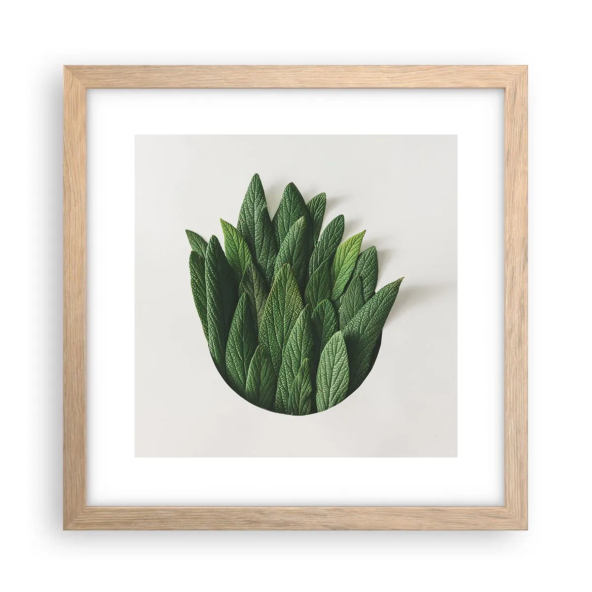 Affiche dans un chêne clair - Poster - Curiosité sans retenue - 30x30 cm