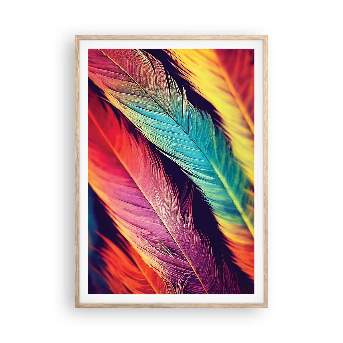 Affiche dans un chêne clair - Poster - Arc-en-ciel de plumes - 70x100 cm