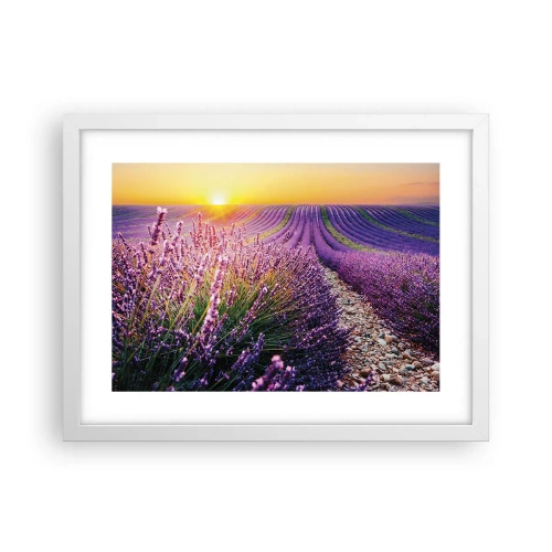 Affiche dans un cadre blanc - Poster - Tige parfumée - 40x30 cm