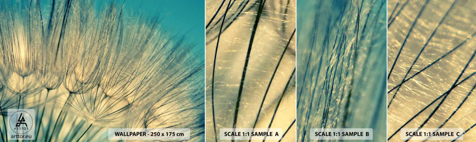 Échantillon De Papier Peint Standard Eco - En attente du vent - Pissenlit, Prairie, Nature - 100x30 cm