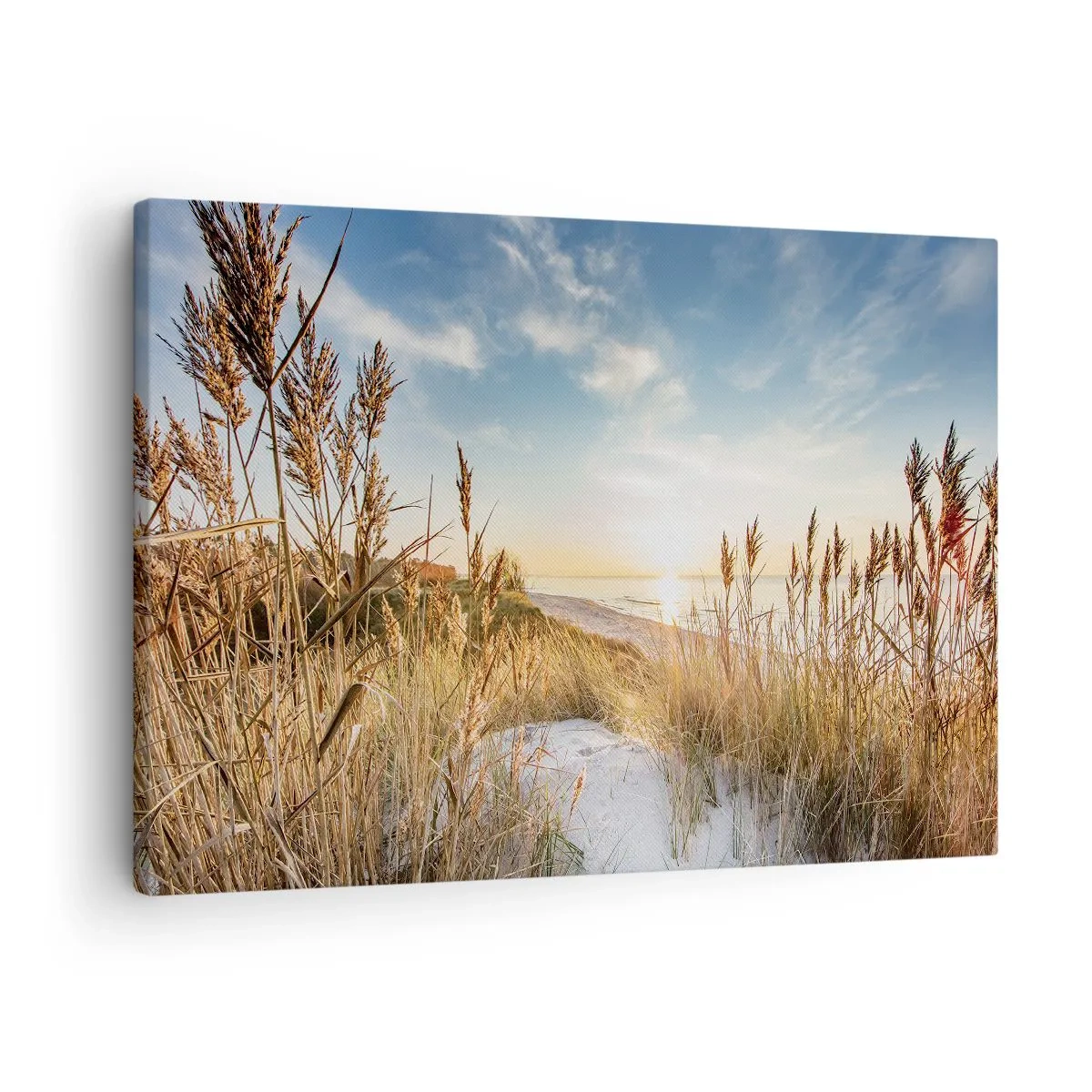 Impression sur toile - Image sur toile - Une plage pittoresque avec de l'herbe et le soleil couchant - 70x50cm - Plage du nord - Décoration murale moderne pour le salon et la chambre ARTTOR