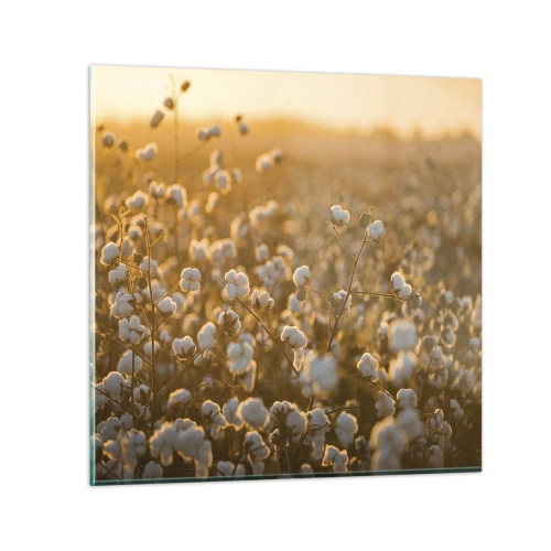 Impression sur verre - Image sur verre - Champ moelleux - 50x50 cm