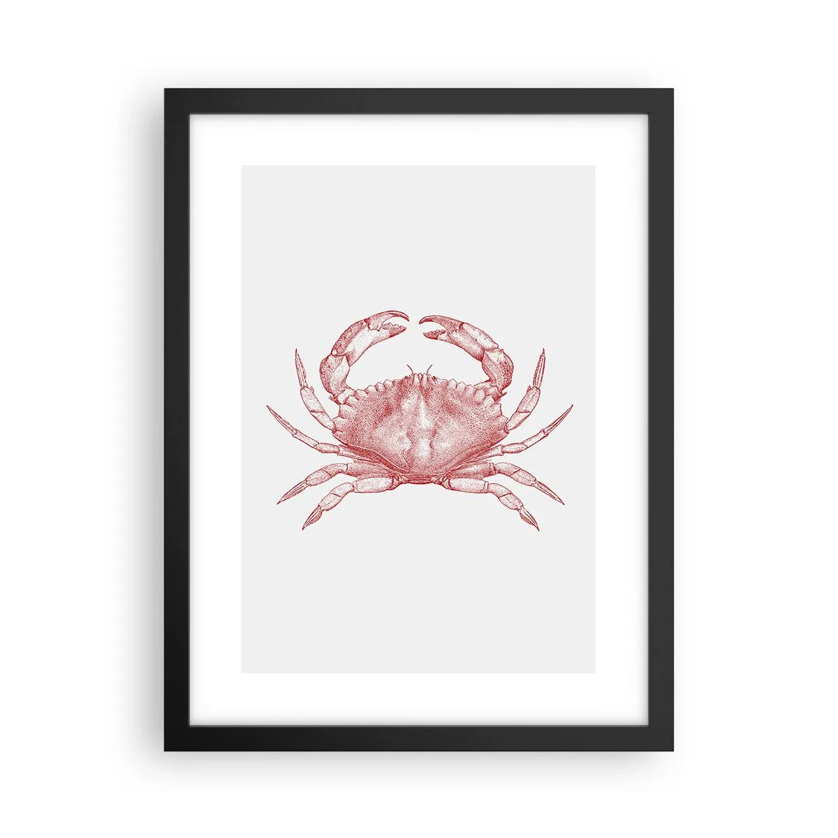 Affiche dans un cadre noir - Poster - Le crabe des crabes - 30x40 cm
