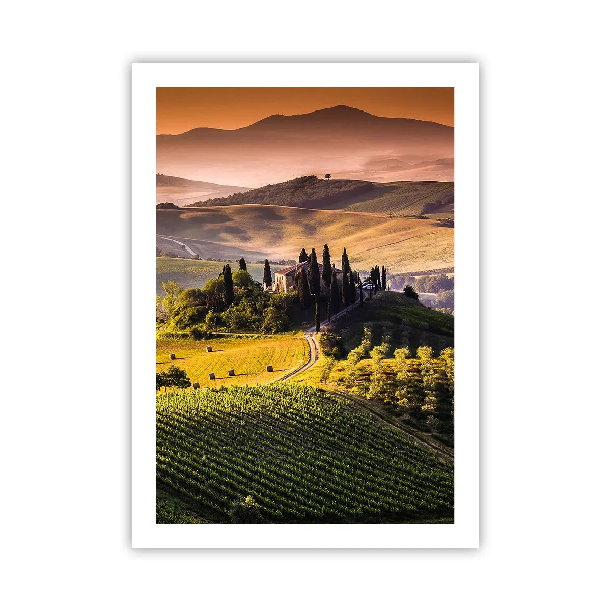 Affiche - Poster - Paysage toscan avec vignobles au coucher du soleil - 50x70cm - Arcadie - le paysage toscan - Décoration murale moderne pour le salon et la chambre ARTTOR