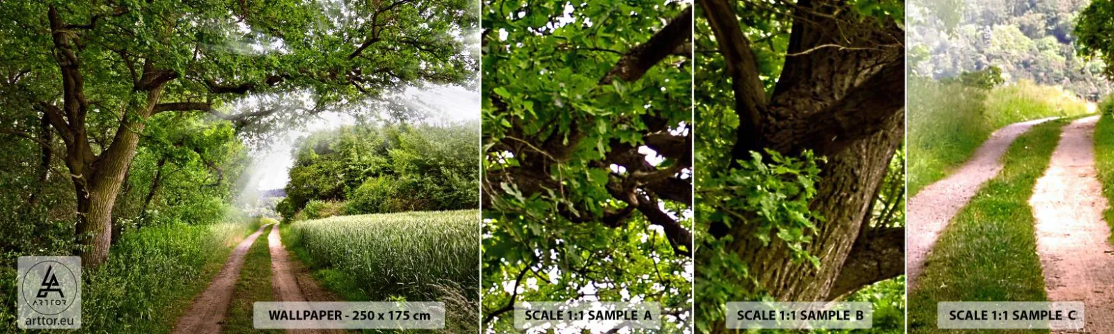 Échantillon de Papier Peint Autocollant Deluxe Sticker - Et in Arcadia ego - Paysage, Chemin de terre, Nature - 100x30 cm