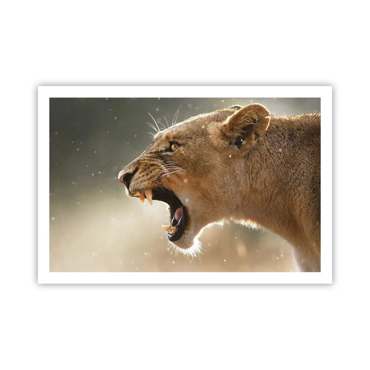 Affiche - Poster - Essayez  de ne pas écouter - 91x61 cm