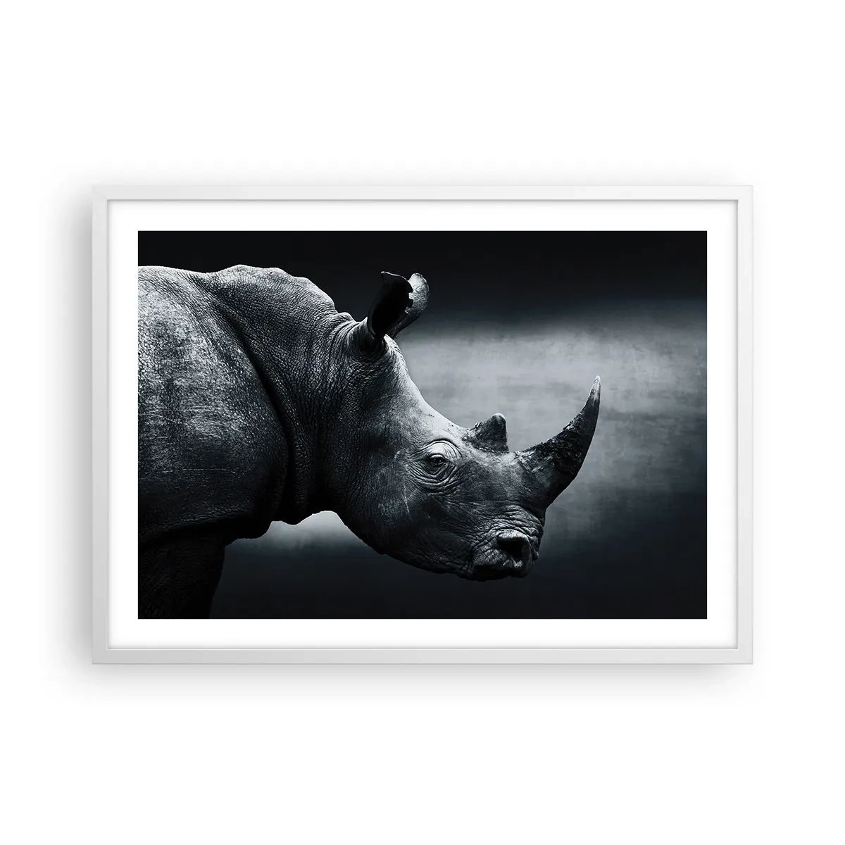 Affiche dans un cadre blanc - Poster - Le profil droit - 70x50 cm