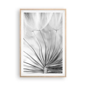 Affiche dans un chêne clair - Poster - Aigrette avant son envol - 61x91 cm