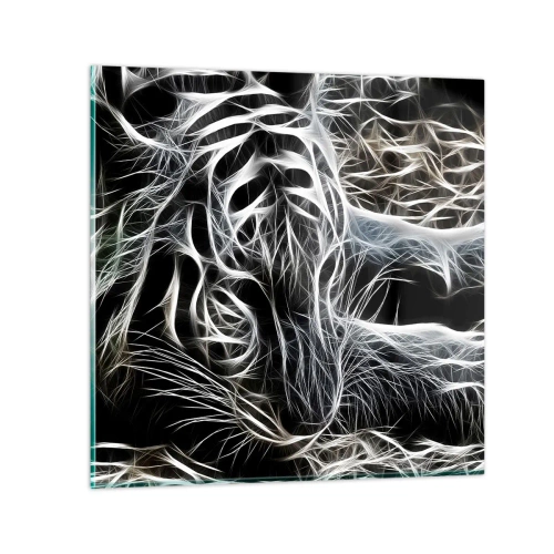 Impression sur verre - Image sur verre - Une étude de la légèreté du chat - 70x70 cm