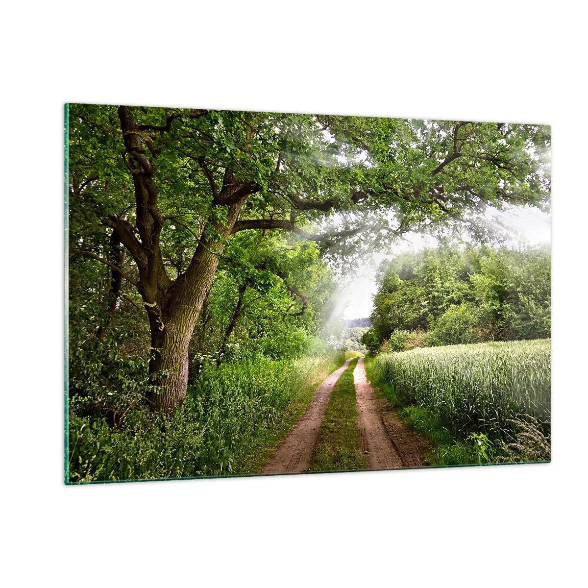 Impression sur verre - Image sur verre - Une route forestière entourée de verdure sous les rayons du soleil - 120x80cm - Et in Arcadia ego - Décoration murale moderne pour le salon et la chambre ARTTOR