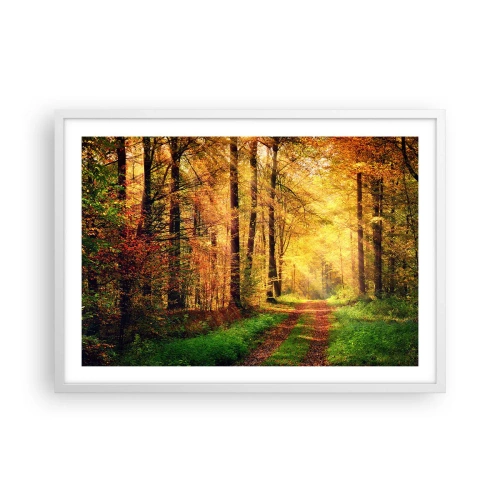 Affiche dans un cadre blanc - Poster - Silence d'or en forêt - 70x50 cm
