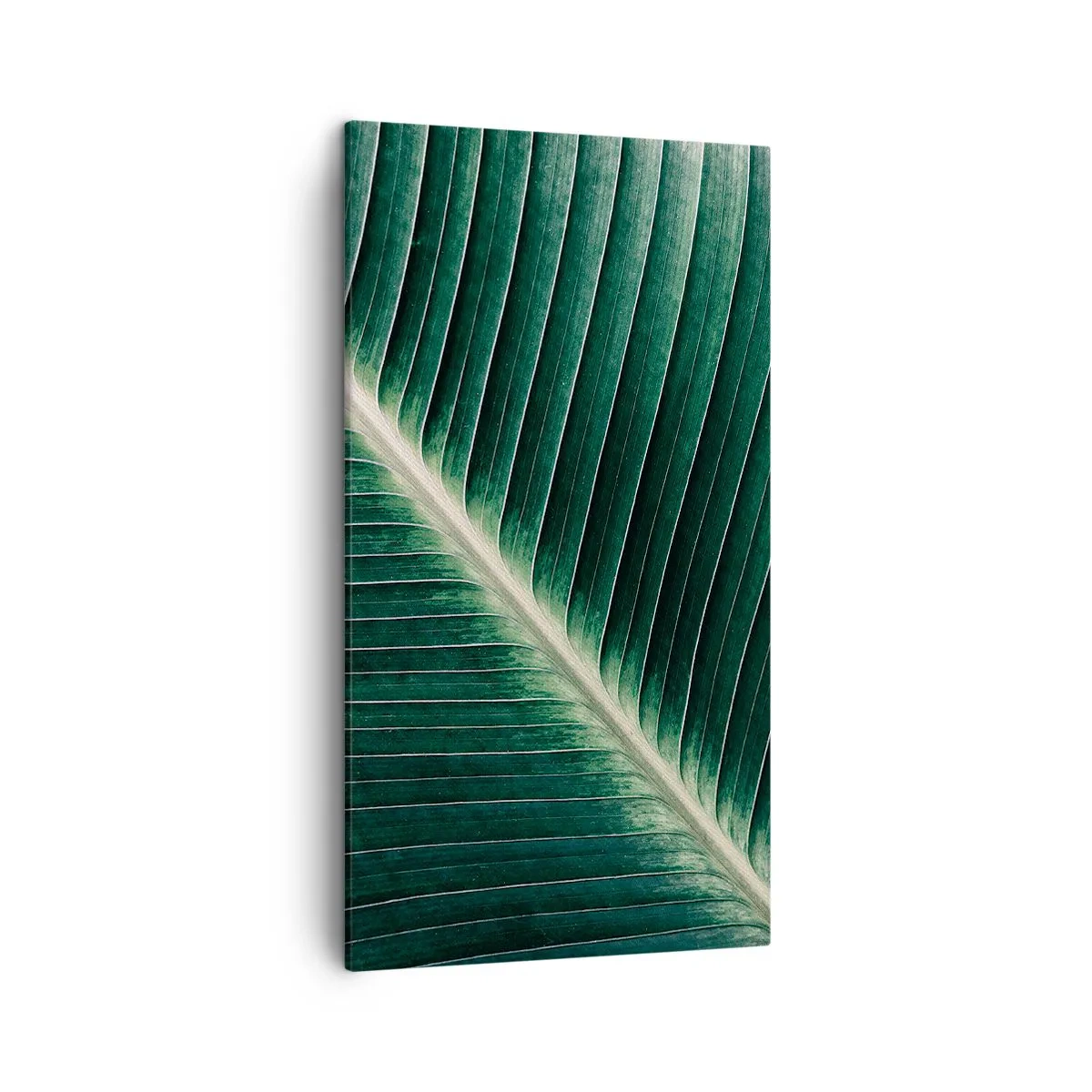 Impression sur toile - Image sur toile - Le rythme de la nature - 45x80 cm