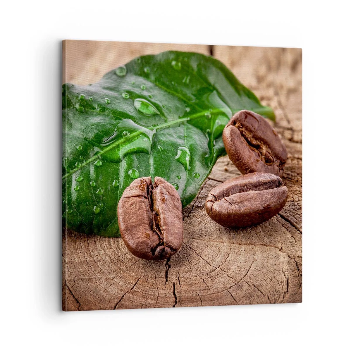 Impression sur toile - Image sur toile - La plus vraie et noire - 60x60 cm