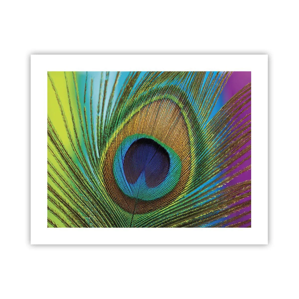 Affiche - Poster - Les yeux dans les yeux - 50x40 cm
