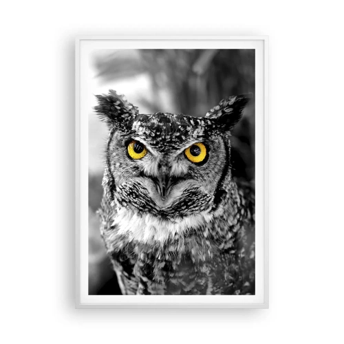 Affiche dans un cadre blanc - Poster - Rien ne se cachera - 70x100 cm