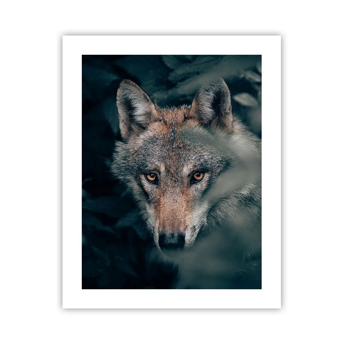 Affiche - Poster - Chasseur - 40x50 cm