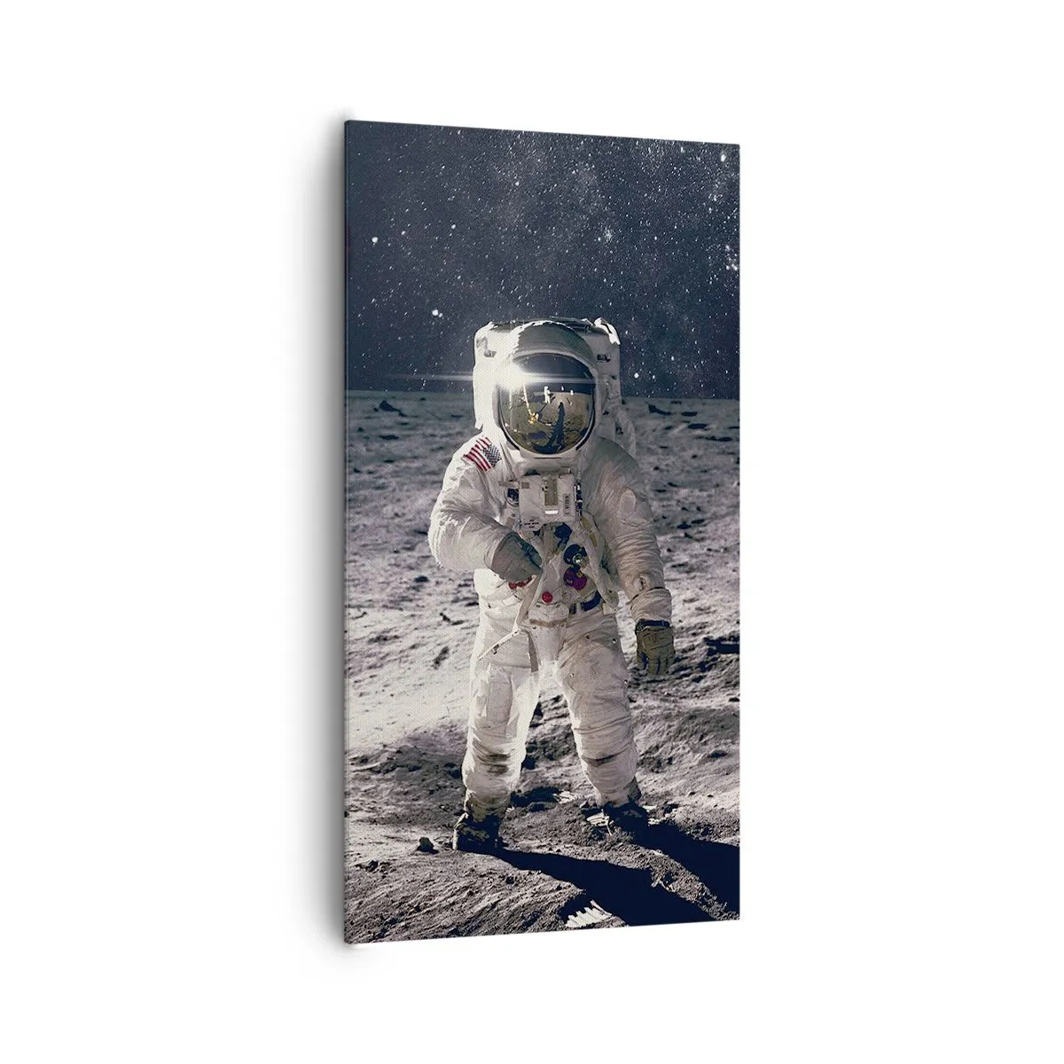 Impression sur toile - Image sur toile - Salutations de la lune - 65x120 cm