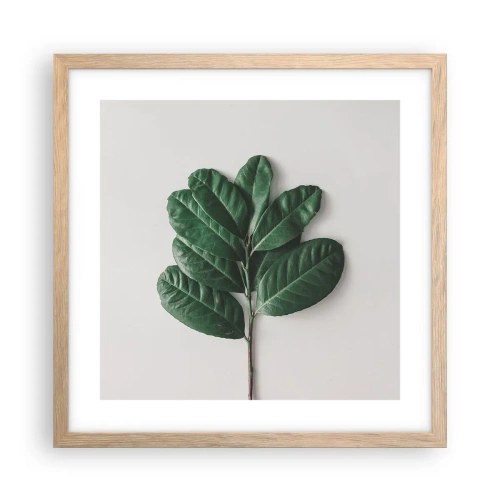 Affiche dans un chêne clair - Poster - Dessin de la nature elle-même - 40x40 cm