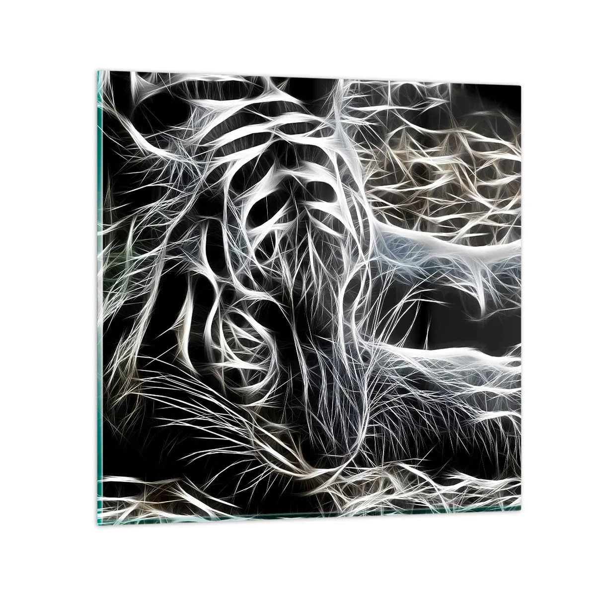 Impression sur verre - Image sur verre - Une étude de la légèreté du chat - 60x60 cm