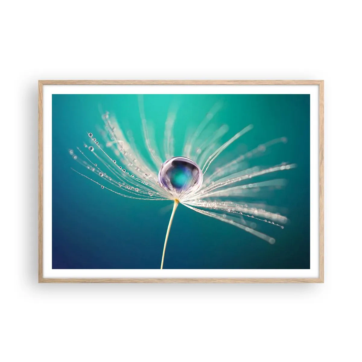 Affiche dans un chêne clair - Poster - Moment mystique - 100x70 cm