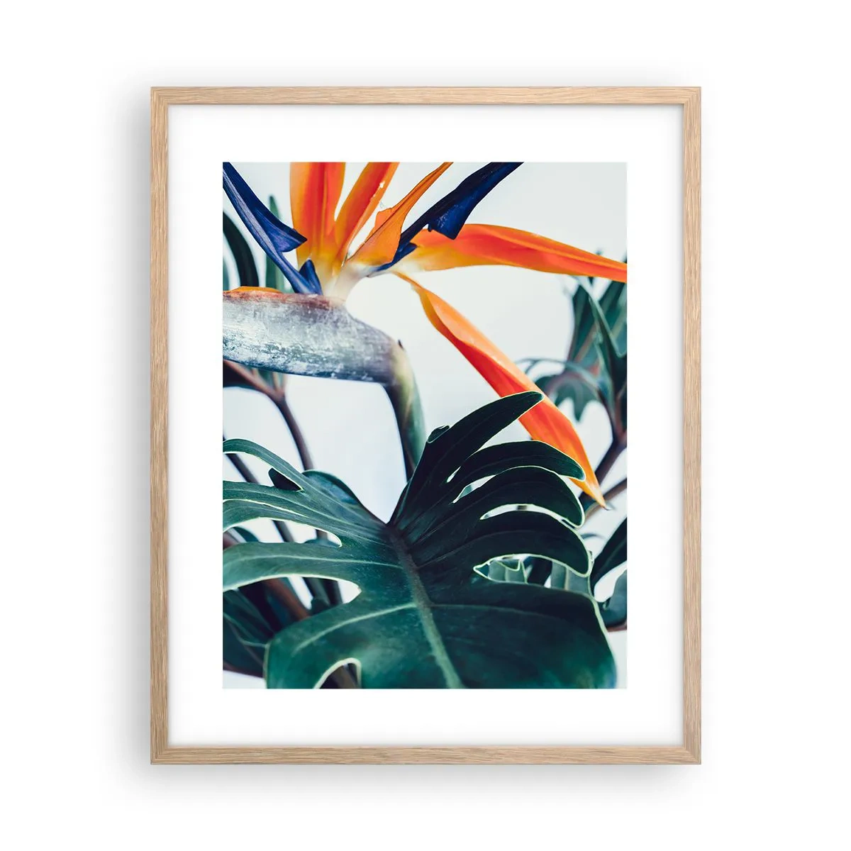 Affiche dans un chêne clair - Poster - Le buisson oiseaux - 40x50 cm