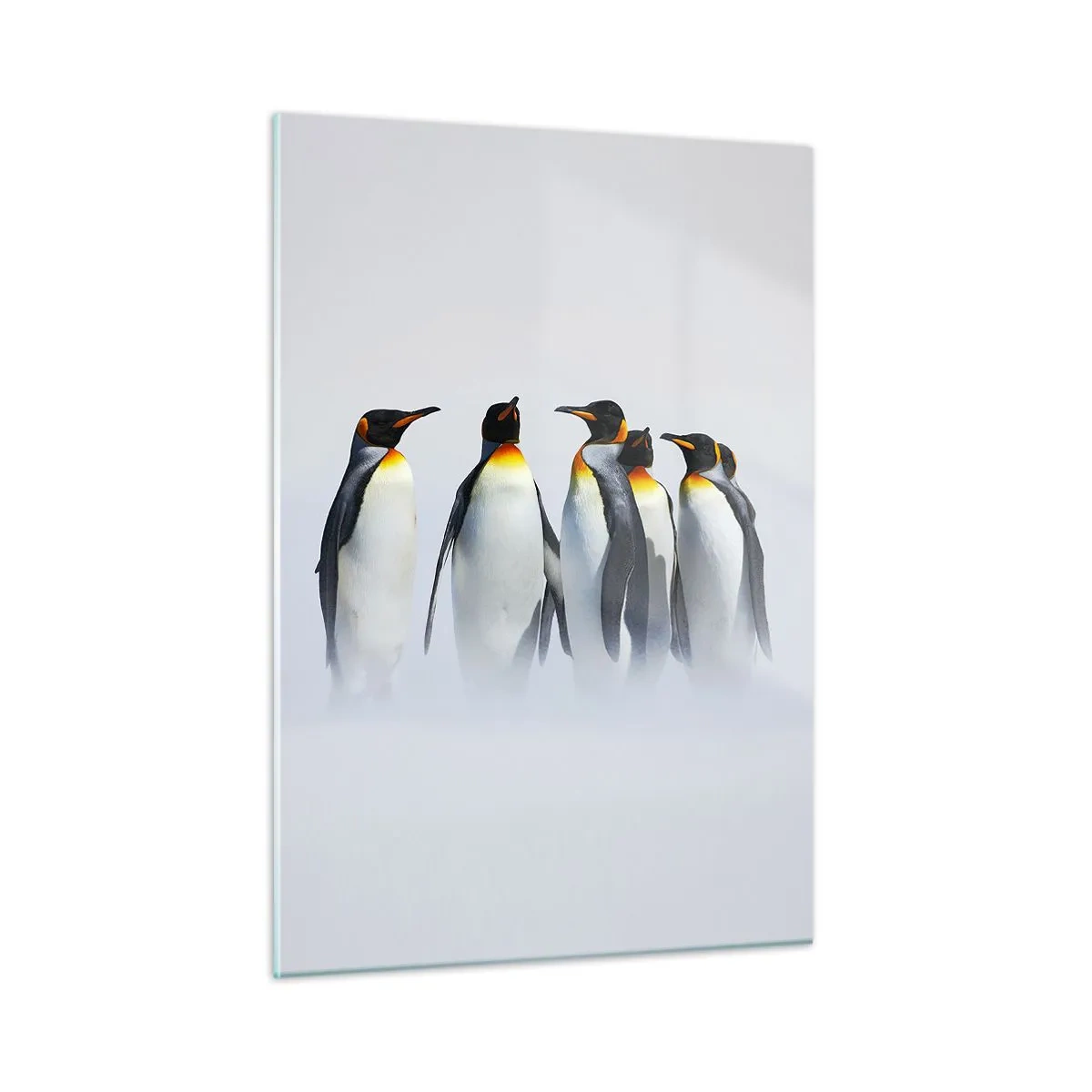 Impression sur verre - Image sur verre - Un groupe de pingouins dans un paysage hivernal - 50x70cm - Rencontre en robes de soirée - Décoration murale moderne pour le salon et la chambre ARTTOR