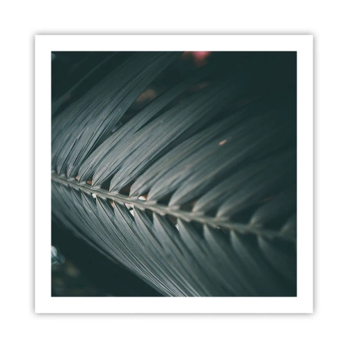 Affiche - Poster - Précision de la nature - 60x60 cm