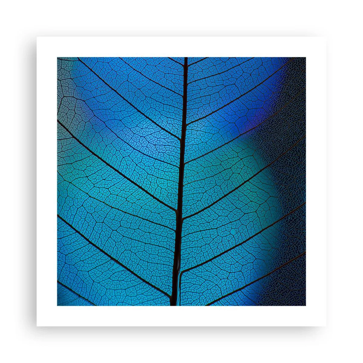 Affiche - Poster - Construction complexe - 50x50 cm