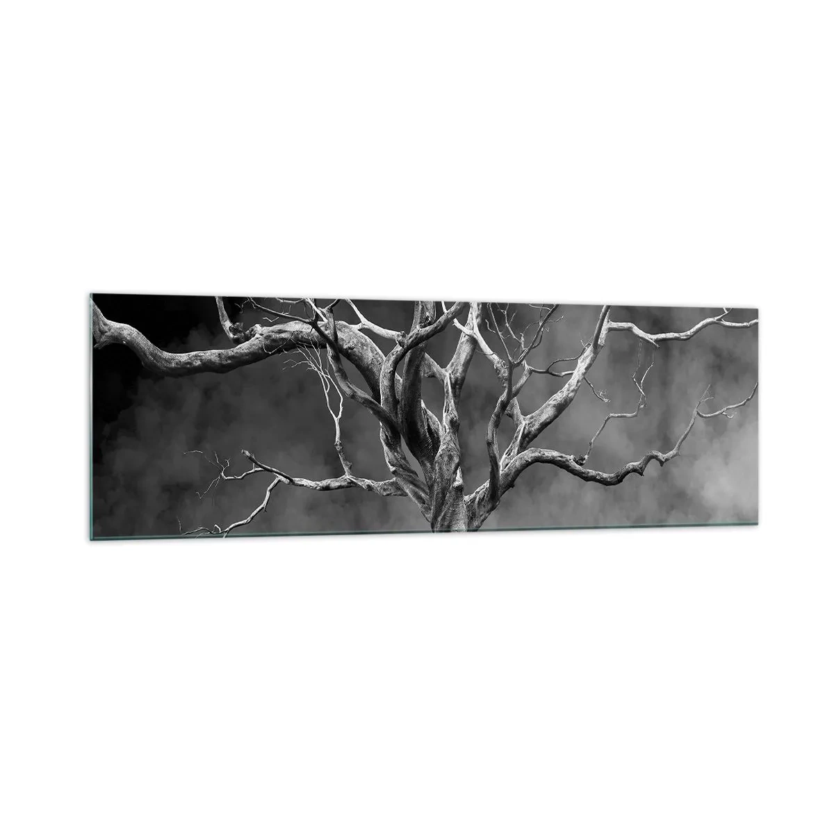 Impression sur verre - Image sur verre - Un arbre sec en noir et blanc contre le brouillard - 160x50cm - Primordial et sacré - Décoration murale moderne pour le salon et la chambre ARTTOR