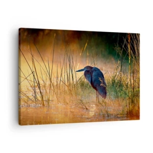 Impression sur toile - Image sur toile - Un héron dans les zones humides au coucher du soleil parmi les hautes herbes - 70x50cm - Allez, laissez-moi en paix avec ces photos - Décoration murale moderne pour le salon et la chambre ARTTOR