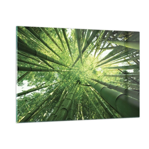 Impression sur verre - Image sur verre - Vue en perspective ascendante de la forêt de bambous - 120x80cm - Dans une bambouseraie - Décoration murale moderne pour le salon et la chambre ARTTOR