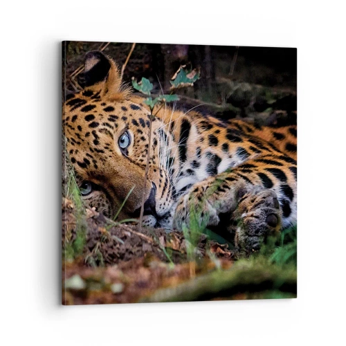 Impression sur toile - Image sur toile - Fais-moi confiance - 70x70 cm