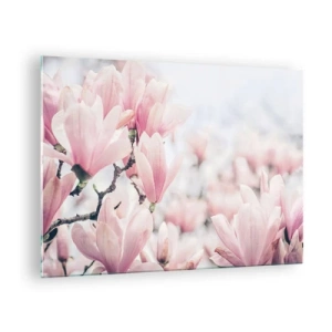 Impression sur verre - Image sur verre - Magnolias roses délicats sur fond clair - 70x50cm - Idéal de la subtilité - Décoration murale moderne pour le salon et la chambre ARTTOR