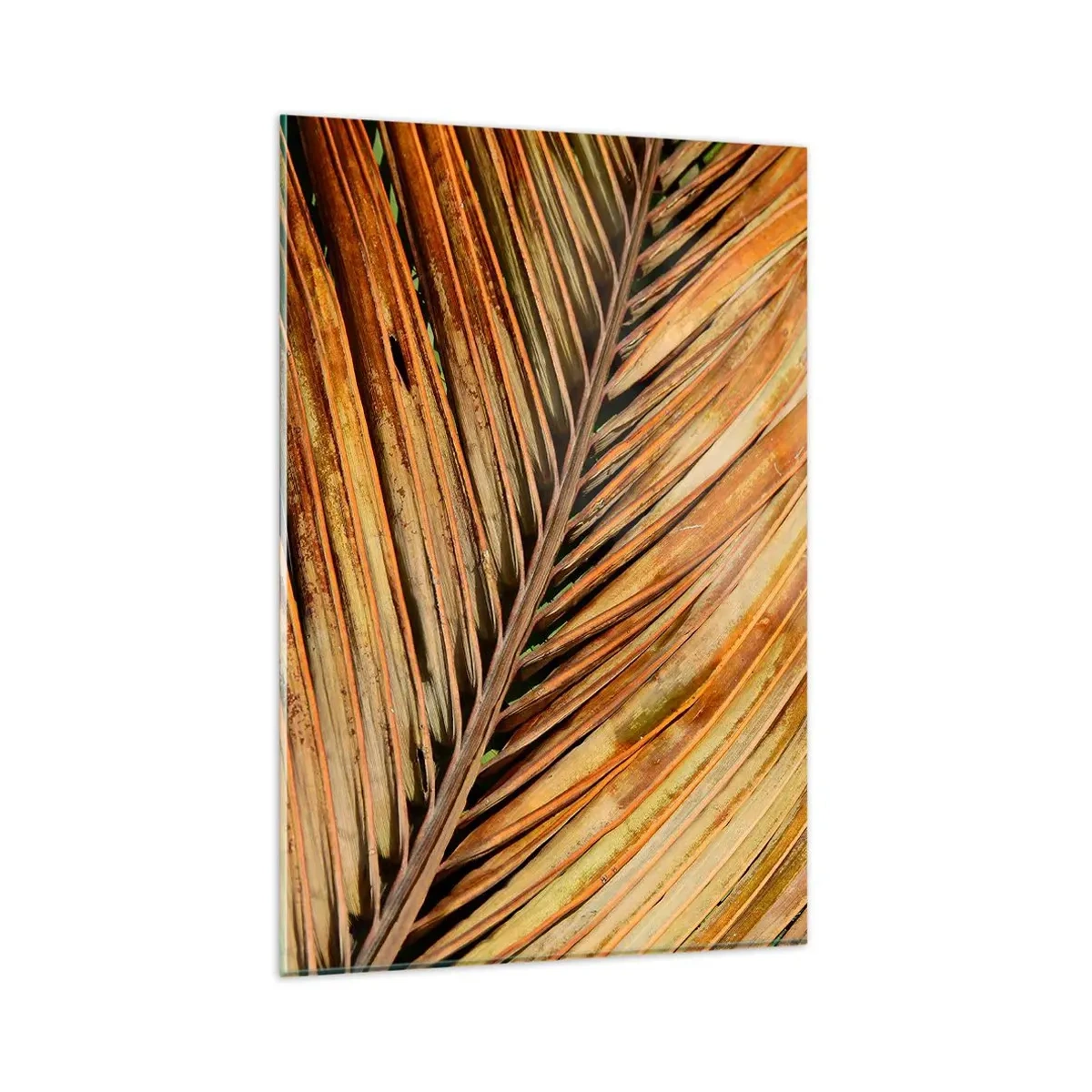 Impression sur verre - Image sur verre - Gros plan d'une feuille de palmier sèche aux tons chauds - 80x120cm - Or de noix de coco - Décoration murale moderne pour le salon et la chambre ARTTOR
