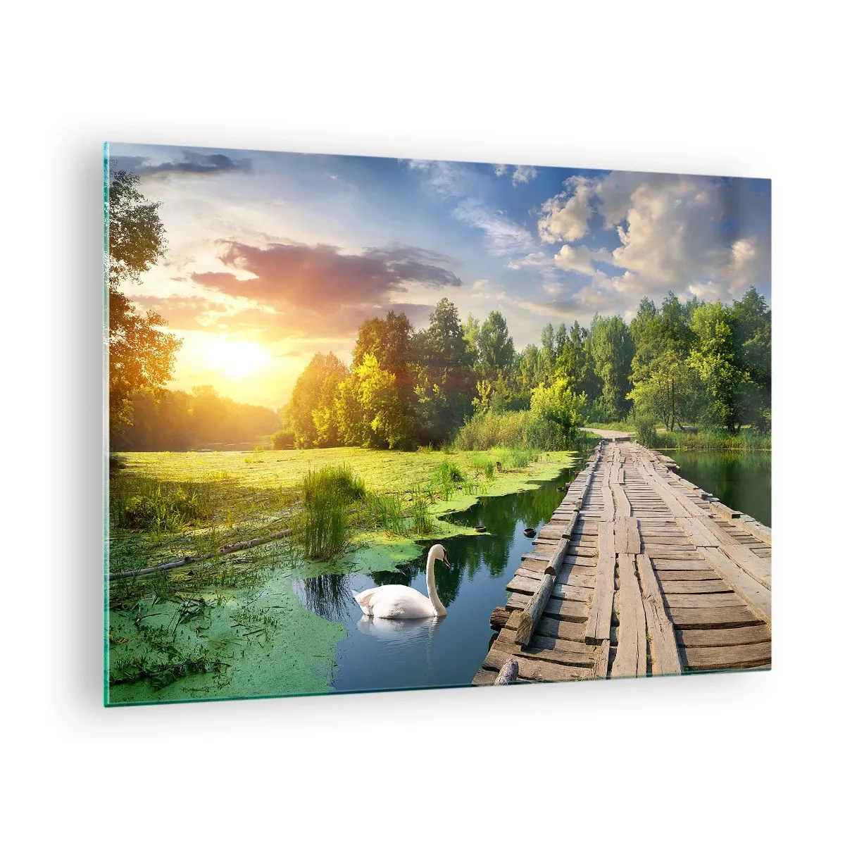 Impression sur verre - Image sur verre - Jetée en bois sur un lac avec un cygne au coucher du soleil - 70x50cm - L'été, l'été partout - Décoration murale moderne pour le salon et la chambre ARTTOR