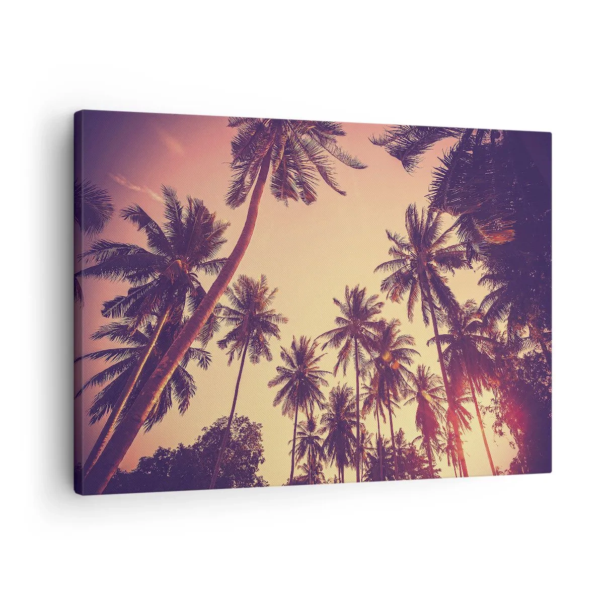 Impression sur toile - Image sur toile - Palmiers contre le ciel aux couleurs chaudes du coucher de soleil - 70x50cm - Variation tropicale - Décoration murale moderne pour le salon et la chambre ARTTOR