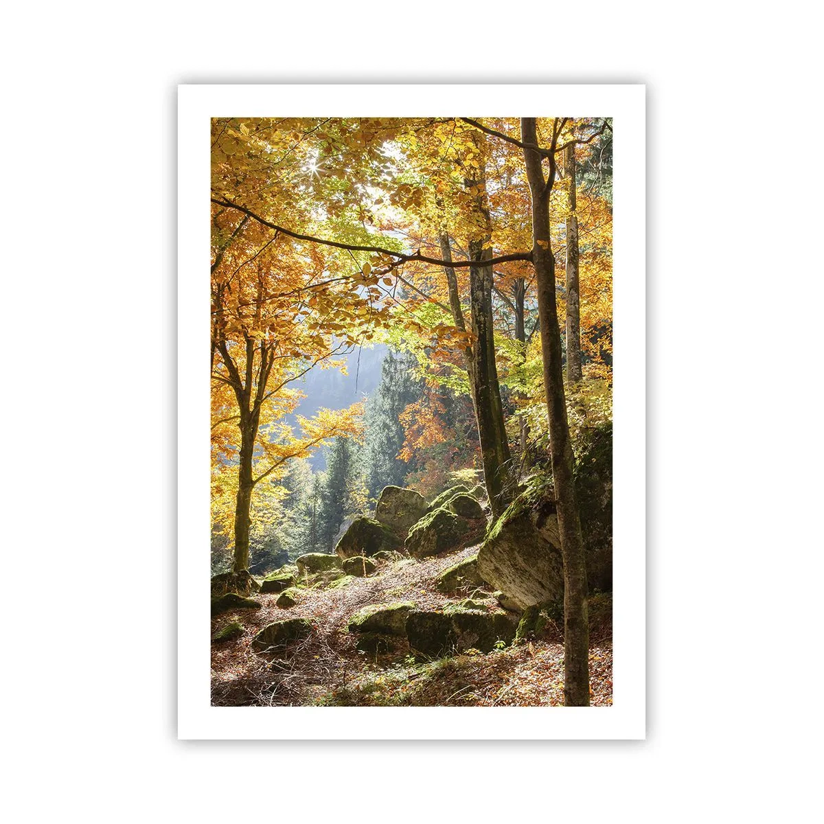 Affiche - Poster - Forêt d'automne avec rayons de soleil et pierres couvertes de mousse - 50x70cm - Il est temps de se détendre - Décoration murale moderne pour le salon et la chambre ARTTOR