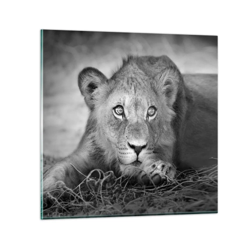 Impression sur verre - Image sur verre - Chiot royal - 50x50 cm