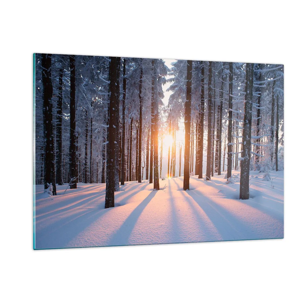 Impression sur verre - Image sur verre - Forêt d'hiver avec les rayons du soleil qui brillent à travers les arbres - 120x80cm - Clairement en noir et blanc - Décoration murale moderne pour le salon et la chambre ARTTOR